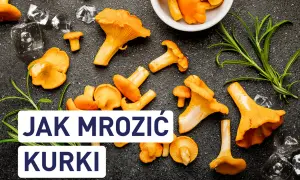 Świeże kurki i lód na ciemnym tle. Tekst: "JAK MROZIĆ KURKI".