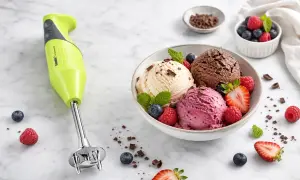 Zielony blender Bamix obok miski z lodami waniliowymi, czekoladowymi i malinowymi, ozdobionymi owocami. Idealny do domowego sposobu, jak zrobić lody.